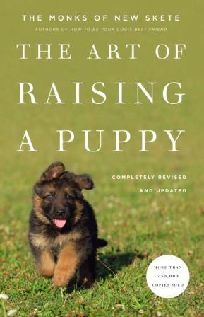 Art of Raising A Puppy
